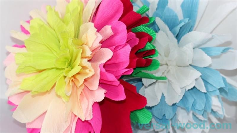 Large Tissue Paper Flower Craft
