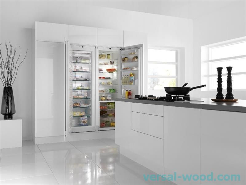 Хладилниците са еднакво подходящи за голямо семейство, както и за тези, които предпочитат да купуват и набавят храна за бъдеща употреба.