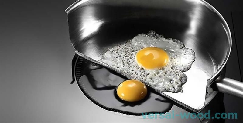 Індукційна плита не обладнана нагрівальними елементами, їх замінюють днища вручений посуду