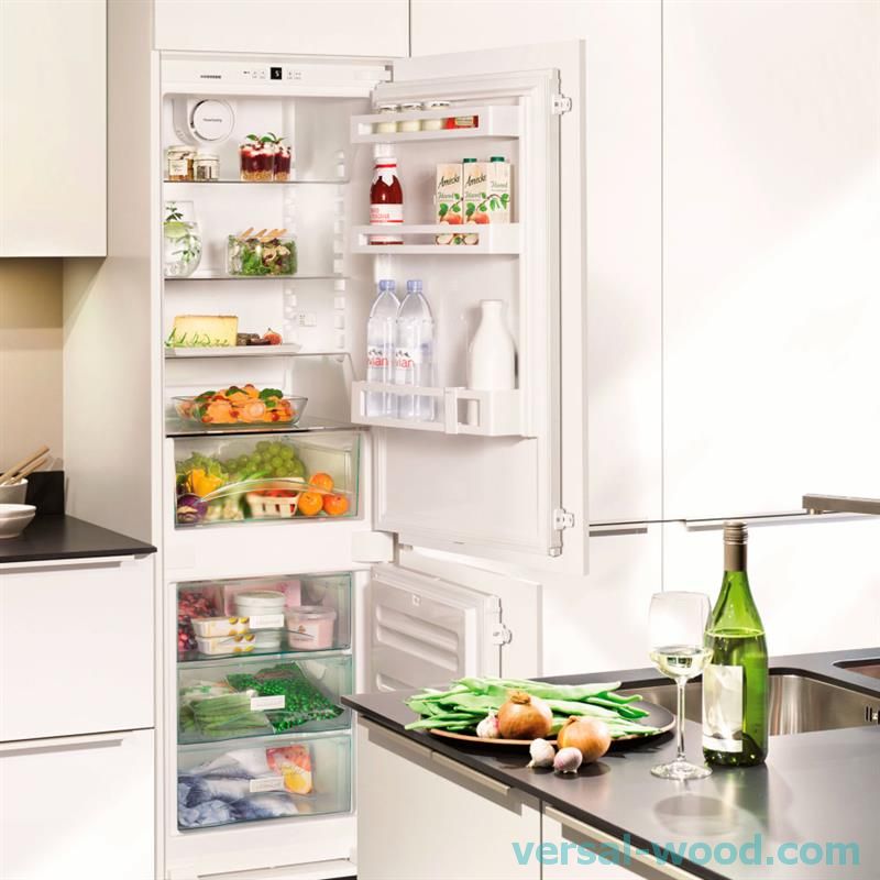 Серед вбудованих холодильників Liebherr найбільш популярні стандартні моделі двокамерних виробів з нижнім розташуванням морозилки