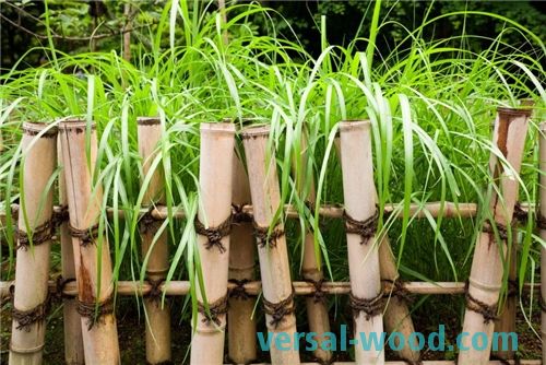 Primer uporabe bambusa za ustvarjanje ograje za cvetlično posteljo